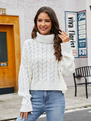 Turtle Neck Cable-Knit Sweater Trendsi