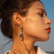 Stainless Steel Dangle Earrings Trendsi