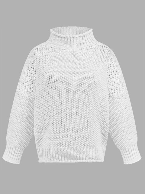 Turtleneck Long Sleeve Sweater Trendsi