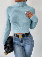 Ribbed Turtleneck Long Sleeve Sweater Trendsi