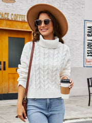 Turtle Neck Cable-Knit Sweater Trendsi