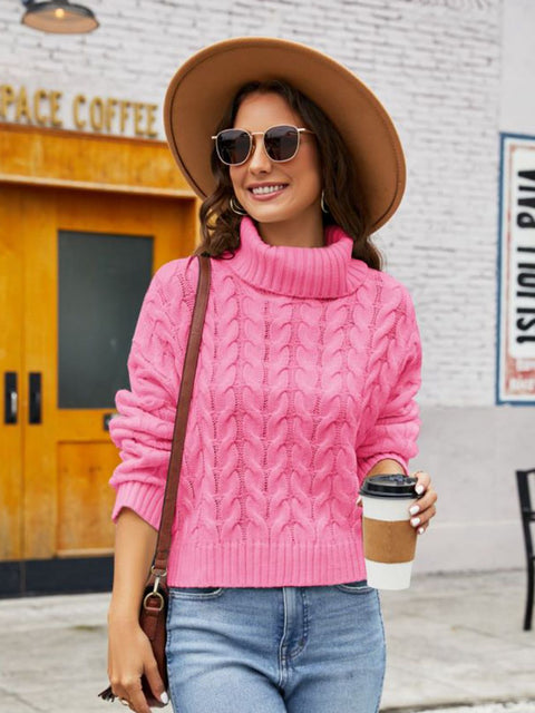 Turtle Neck Cable-Knit Sweater Trendsi