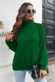 Turtleneck Rib-Knit Sweater Trendsi