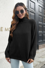 Turtleneck Rib-Knit Sweater Trendsi