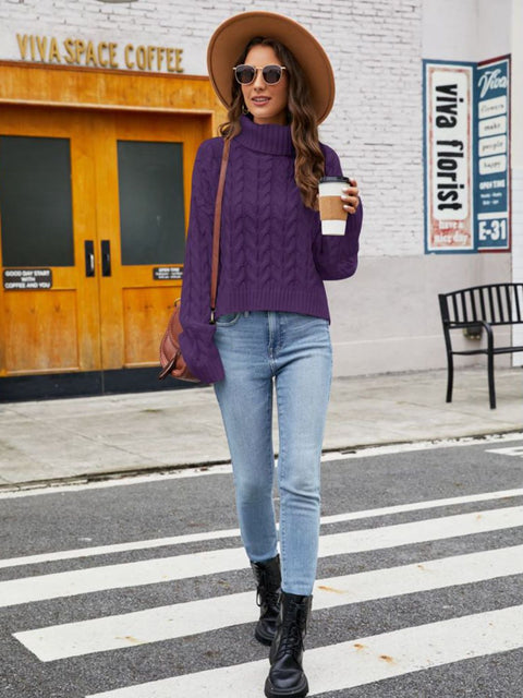 Turtle Neck Cable-Knit Sweater Trendsi