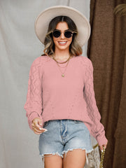 Openwork Round Neck Raglan Sleeve Sweater Trendsi