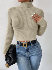 Ribbed Turtleneck Long Sleeve Sweater Trendsi