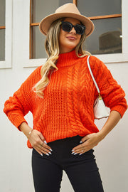 Cable-Knit Turtle Neck Long Sleeve Sweater Trendsi