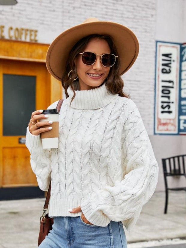 Turtle Neck Cable-Knit Sweater Trendsi