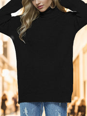 Turtleneck Drop Shoulder Long Sleeve Sweater Trendsi