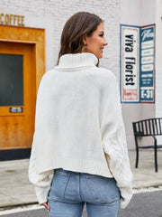 Turtle Neck Cable-Knit Sweater Trendsi