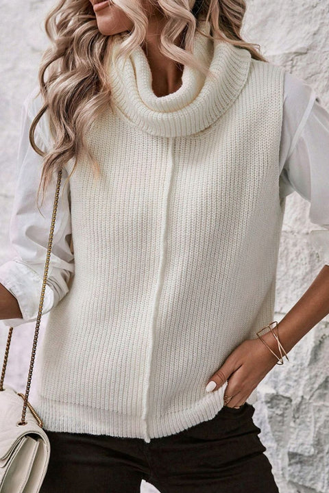 Central Seam Turtleneck Sleeveless Sweater Vest Trendsi