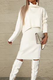 Turtleneck Dropped Shoulder Sweater and Midi Dress Sweater Set Trendsi